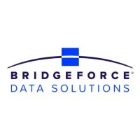 Bridgeforce Data Solutions Bridgeforce Data Solutions