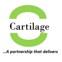 Cartilage