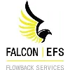 Falcon | EFS Flowback Services Falcon | EFS Flowback Services