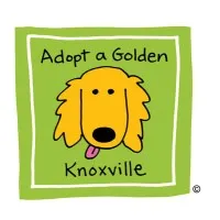 Adopt a Golden Knoxville Adopt a Golden Knoxville