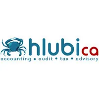 Hlubi Chartered Accountants