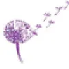 MediaWise Pty Ltd MediaWise Pty Ltd