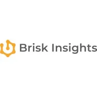 Brisk Insights India Private Limited