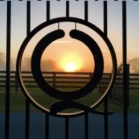 Quincey Cattle Company