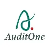 AuditOne LLC AuditOne LLC