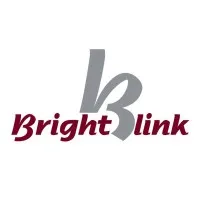 BRIGHTLINK Consultoria Empresarial BRIGHTLINK Consultoria Empresarial