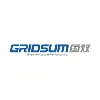 Gridsum Holding Inc.