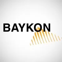 Baykon Industrial Weighing Systems