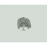 Willow Road Partners