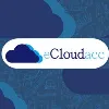 eCloudacc Support Services
