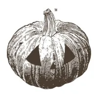 The Pumpkinlight Playhouse Inc.™