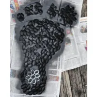 Frecklefoot Creative