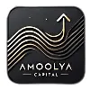Amoolya Capital Amoolya Capital