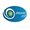 Mase Gulf