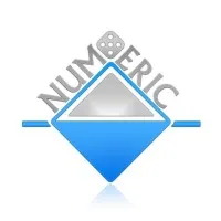 Numeric Technologies Limited Numeric Technologies Limited