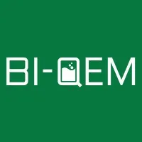 BI-QEM