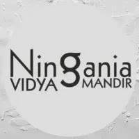 Ningania Vidya Mandir Sr Sec School
