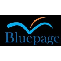 Bluepage Consulting