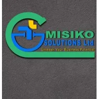 MISIKO SOLUTIONS INC MISIKO SOLUTIONS INC