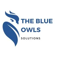 The Blue Owls The Blue Owls