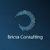 Bricsa Consulting Bricsa Consulting