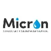 Micron Micron
