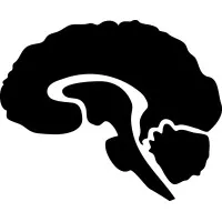 Grey Matters Journal