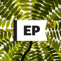 El Planteo El Planteo