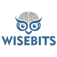 Wisebits Group email format