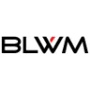 Bauman Loewe Witt & Maxwell PLLC