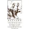 Madroño Landscape Design Studio, Inc. Madroño Landscape Design Studio, Inc.