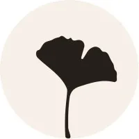 Rise Dental