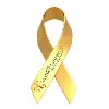 The Ashley Lauren Foundation The Ashley Lauren Foundation