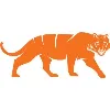 Firetiger Technologies Firetiger Technologies