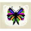 Butterfly Hub Butterfly Hub