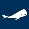 Fly The Whale Fly The Whale