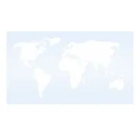 Patronus Consulting LLC