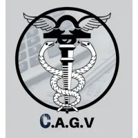 CAGV Assessoria Contábil Ltda