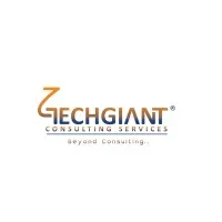 TechGiant Consulting Services Inc