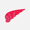 Red Wing Shoe Co.