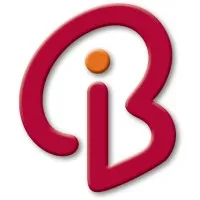 Branding Iron Holding, LLC