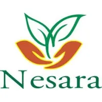 Nesara Creationss Pvt Ltd