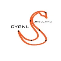 Cygnus Consulting Cygnus Consulting