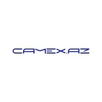 CAMEX LLC