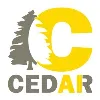 Cedar AI Cedar AI