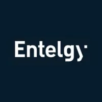 Entelgy Brasil