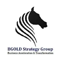 BGOLD Strategy Group