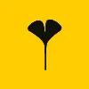 Ginkgo T-Shirts