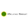 IDelync Consulting Group