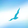 Seagull Advertising